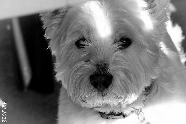 Bain de soleil / Sun Bath