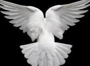 Poème: Larmes d'un ange