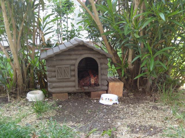 Chats et leurs maisons...