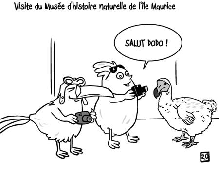 poussin ile maurice