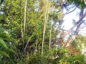 opérations nettoyage printemps commencent journal juin 2012