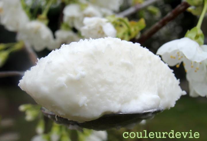 Mousse de yaourt à la noix de coco