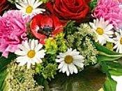 retour......et Bonne fête mères