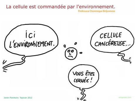 Belpomme_environnement_cellule