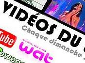 VIDÉOS #35:Une belle sélection vidéos du...