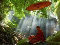 Méditation de la vaisselle | La partagerie | Scoop.it