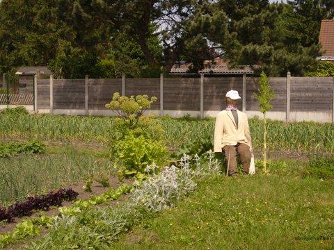 Promenade à Wavrin.