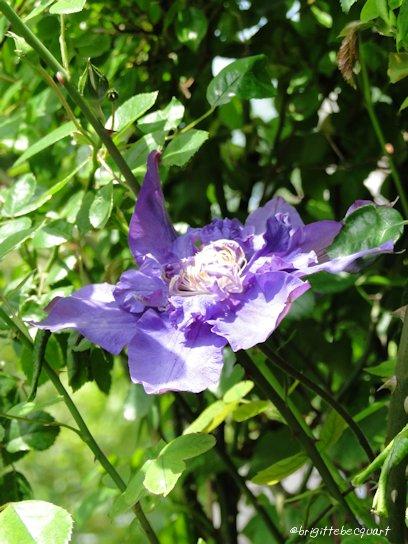 Promenade à Wavrin.