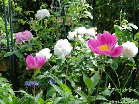 Promenade à Wavrin.