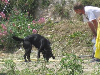 Journée de l'environnement à Pierrevert