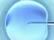FIV: cellules cumulus révèlent œuf» Human Reproduction