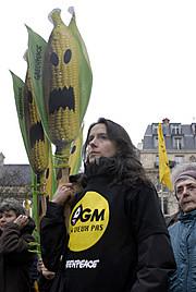 Arrêté de suspension du maïs OGM :le Conseil d’Etat confirme la décision du gouvernement d’interdire la culture du maïs génétiquement modifié !