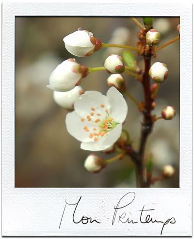 C’est le printemps sur Autreshop !