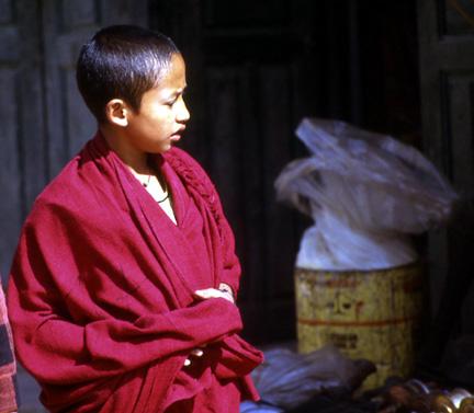 tibet-gamin-moine.1206089558.jpg