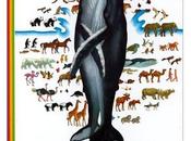 L'histoire vie: Avant naissance, Naître, Grandir, Etre grand, Vivre ensemble