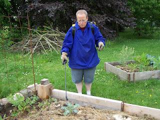 Pulvérisation de purin d'orties