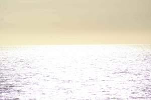 Phrases rivages, phrases amorces