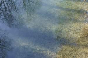 Du bunker à la table dressée, expérience sensible et spongieuse