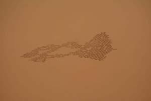 Du bunker à la table dressée, expérience sensible et spongieuse