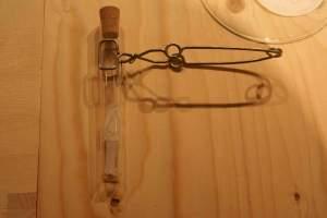 Du bunker à la table dressée, expérience sensible et spongieuse