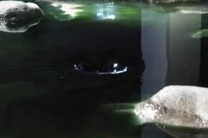 Du bunker à la table dressée, expérience sensible et spongieuse