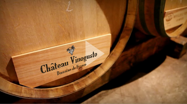 Chateau Vinogusto : le guide du vin investit dans un domaine viticole
