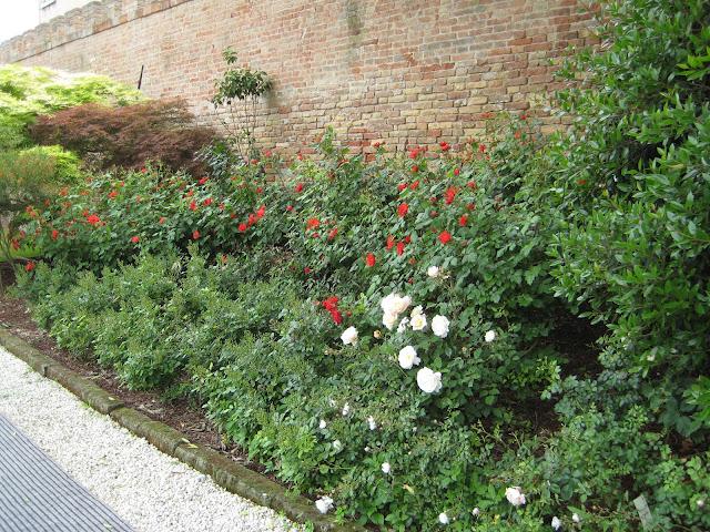Jardins à Cannaregio