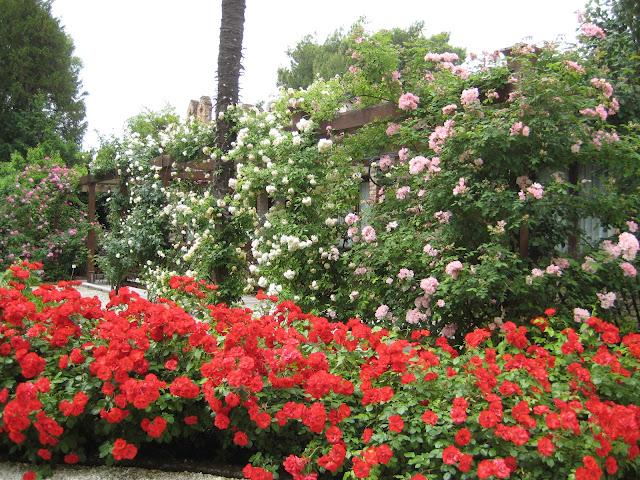 Jardins à Cannaregio