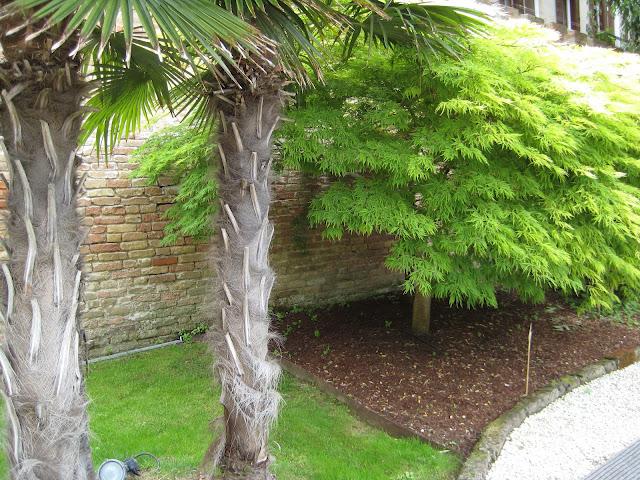 Jardins à Cannaregio