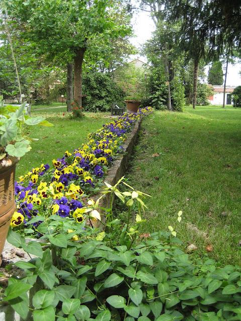 Jardins à Cannaregio