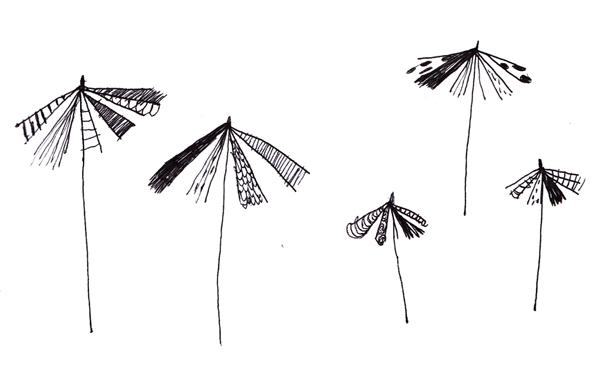   Et un peu de carnet stress pour la route.Il e...