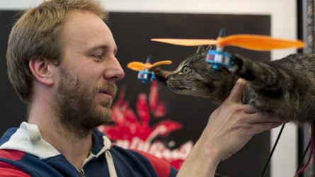 Pays-Bas Un artiste transforme son chat mort en hélicoptère