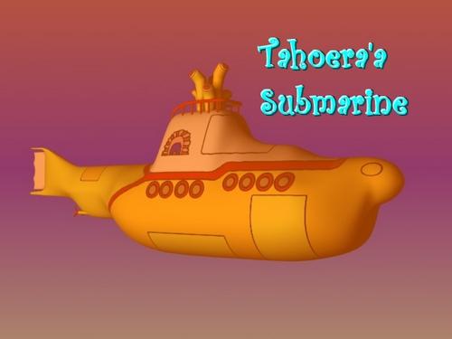 Tahoera’a Submarine