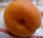 L'abricot, fruit d'été excellence