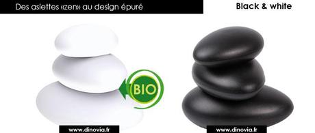 Assiette jetable en forme de galet assiette plastique design