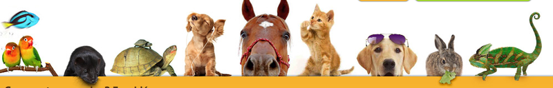 Capture d’écran 2012-06-06 à 09.37.31