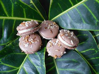 Macarons chocolat et noix de coco