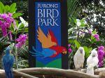 Parc aux oiseaux Singapour