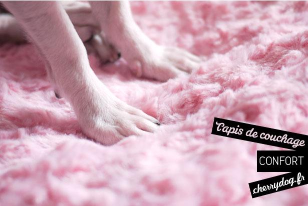 Le tapis de couchage rose pour chiens