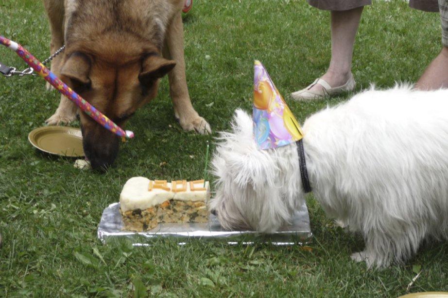 Des fêtes d’anniversaire qui ont du chien