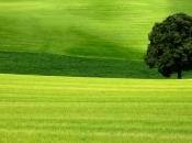 Agenda l'actualité cabinet prochains mois