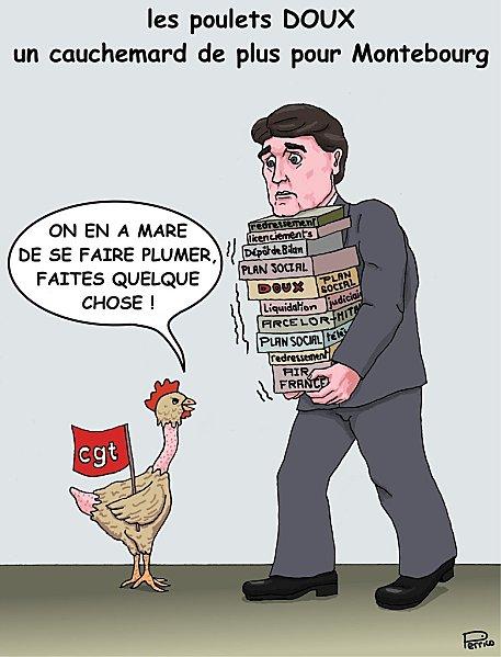 poulets-6-juin-2012.jpg