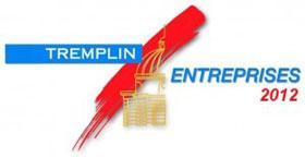 Logo Tremplin Entreprises