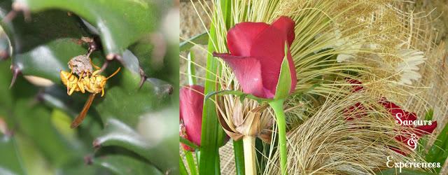 Mini Cakes Chocolat Noisette