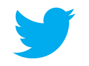 Twitter l'oiseau bleu s'envole...