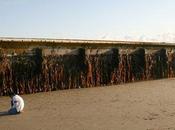 Tsunami Japon ponton s’échoue plus tard États-Unis