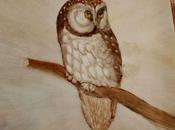 CHOUETTE c'est vendredi