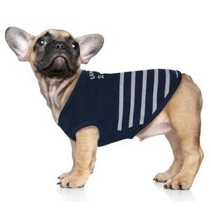 tee shirt marin pour chien