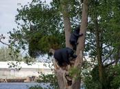 Estuaire 2012 Colons Sarah