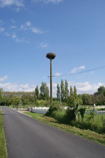 Le Carnet éolienne géante  ( 2 )